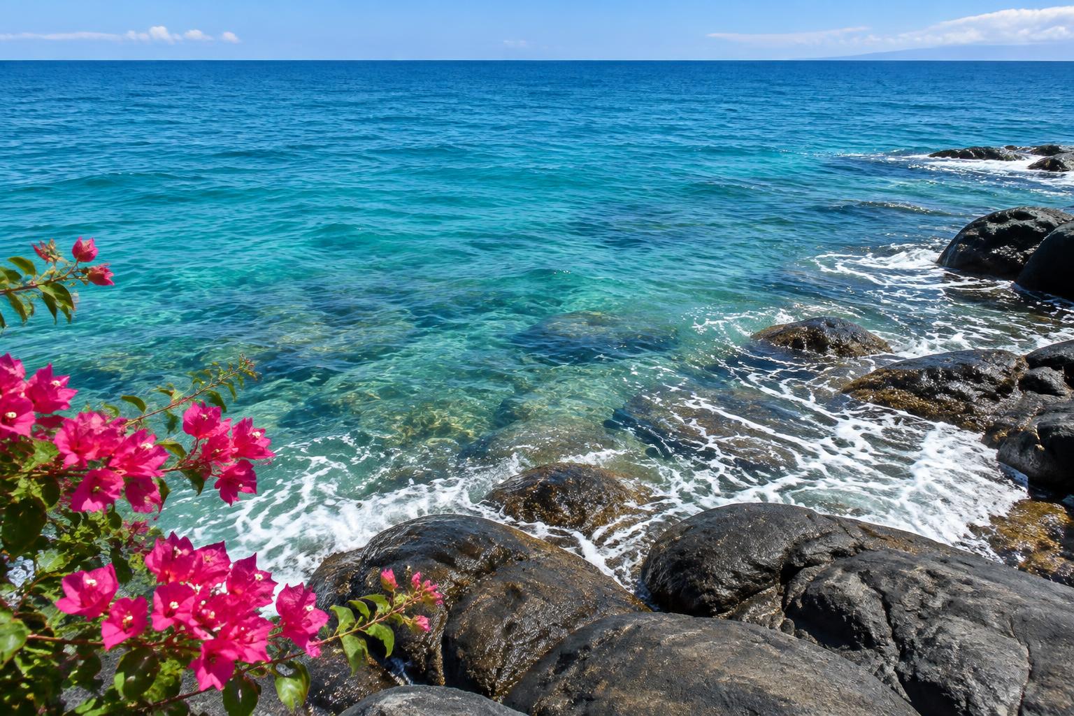 Puerto Vallarta airport traffic fell in September: what travelers should watch